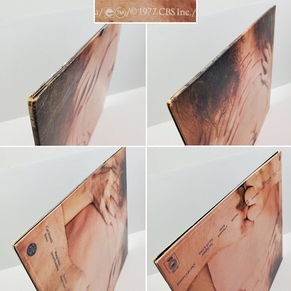 Ted Nugent Cat Scratch Fever Vinyl Record 1977 LP Original JE 34700 VG+ - Picture 6 of 11